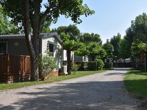 Camping Saint Gabriel - Camping Bouches-du-Rhône - Image N°33