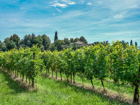 Camping Eurocamping Pacengo - Camping Vérone - Image N°22