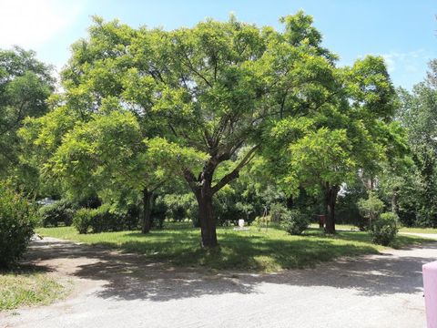 Camping Le Garanel - Camping Gard - Image N°3
