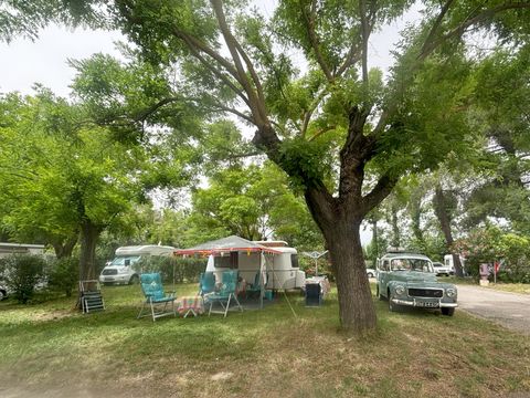 Camping Le Garanel - Camping Gard - Image N°2
