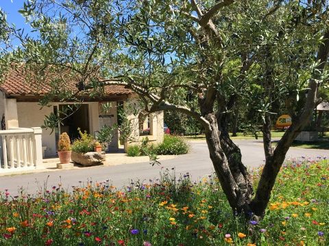 Camping Pegomas Pausado - Camping Bouches-du-Rhône - Image N°18