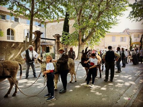 Camping Pegomas Pausado - Camping Bouches-du-Rhône - Image N°19
