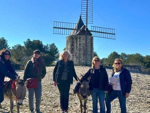 Camping Pegomas Pausado - Camping Bouches-du-Rhône - Image N°22