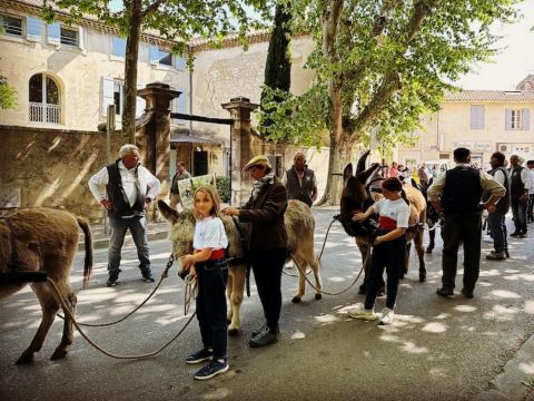 Camping Pegomas Pausado - Camping Bouches-du-Rhône - Image N°43