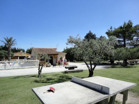 Camping Pegomas Pausado - Camping Bouches-du-Rhône - Image N°11