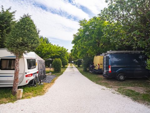 Camping Pegomas Pausado - Camping Bouches-du-Rhône - Image N°31