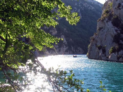 Camping Frederic Mistral - Camping Alpes-de-Haute-Provence - Image N°7