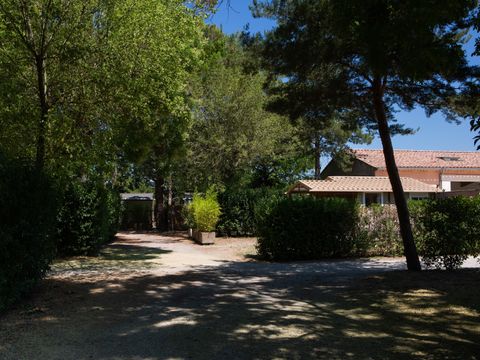 Emplacement - Forfait Privilège (1 tente, caravane ou camping-car / 1 voiture / électricité 8A) +120m² 2/6 pers