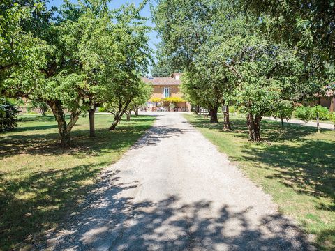 Les Chalets De Fiolles - Camping Tarn - Image N°3