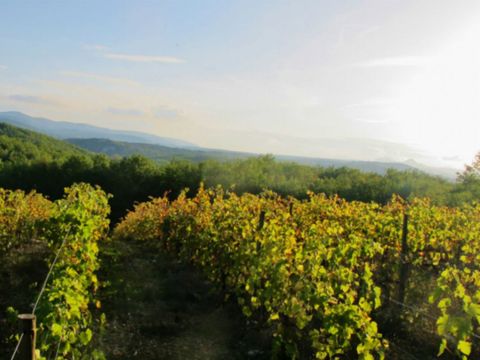 Emplacement - PREMIUM