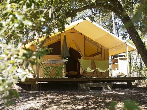 TENTE TOILE ET BOIS 5 personnes - Tente Safari - 4 ad + 1 enf - sans sanitaires