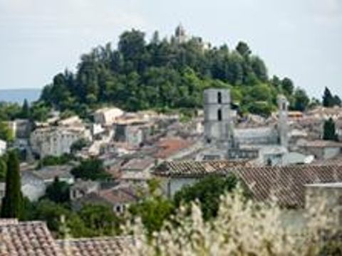 Camping Les Routes de Provence - Camping Alpes-de-Haute-Provence - Image N°46