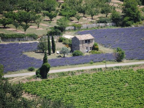 Camping Les Routes de Provence - Camping Alpes-de-Haute-Provence - Image N°22