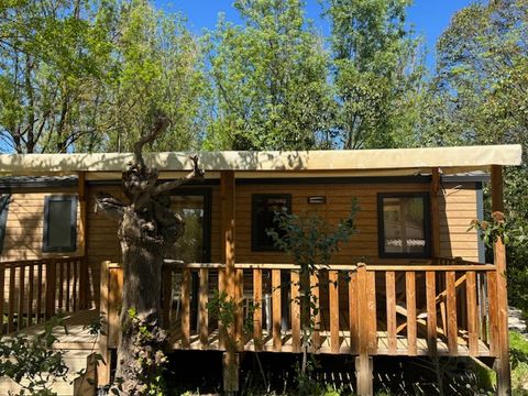Tente en toile et en bois 6 personnes - Lodge Safari
