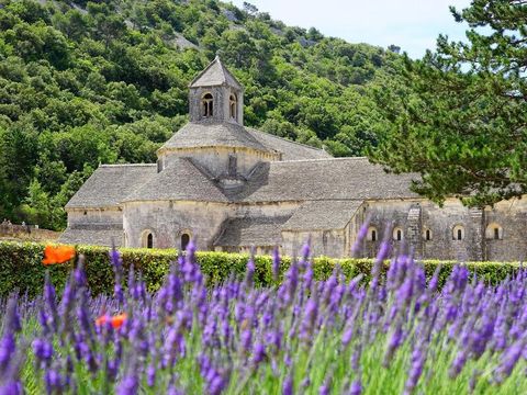 Yelloh! Village Camping  Avignon Parc - Camping Vaucluse - Image N°37
