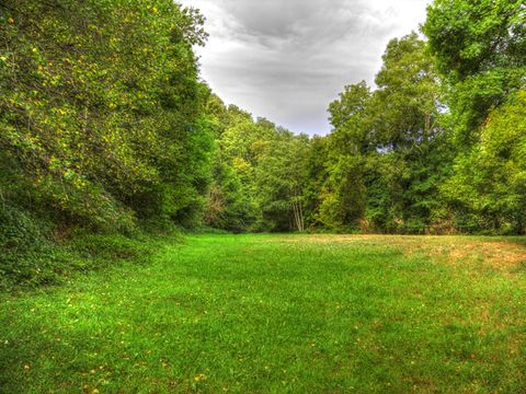 Camping La Bastide d'Albignac - Camping Tarn - Image N°22