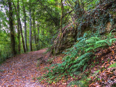 Camping La Bastide d'Albignac - Camping Tarn - Image N°12