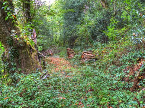 Camping La Bastide d'Albignac - Camping Tarn - Image N°19