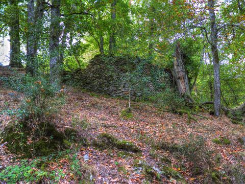 Camping La Bastide d'Albignac - Camping Tarn - Image N°18