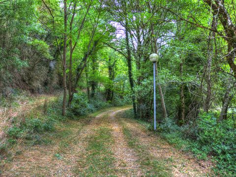 Camping La Bastide d'Albignac - Camping Tarn - Image N°24