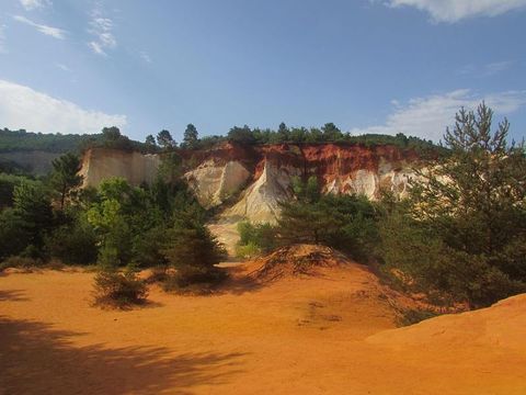 Flower Camping l'Epi Bleu - Camping Alpes-de-Haute-Provence - Image N°44