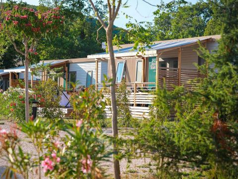 Flower Camping l'Epi Bleu - Camping Alpes-de-Haute-Provence - Image N°6