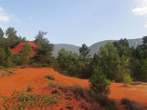 Flower Camping l'Epi Bleu - Camping Alpes-de-Haute-Provence - Image N°43