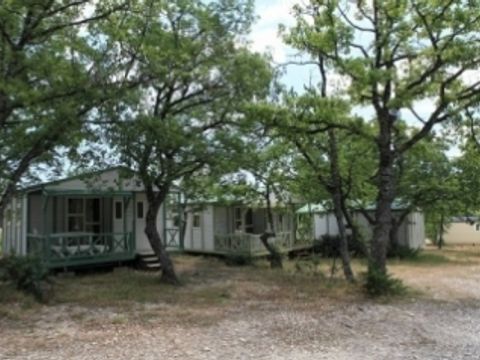 Flower Camping l'Epi Bleu - Camping Alpes-de-Haute-Provence - Image N°2