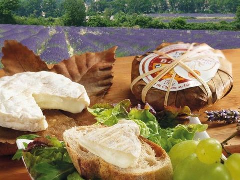 Flower Camping l'Epi Bleu - Camping Alpes-de-Haute-Provence - Image N°47