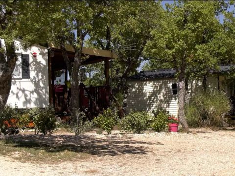 Flower Camping l'Epi Bleu - Camping Alpes-de-Haute-Provence - Image N°19