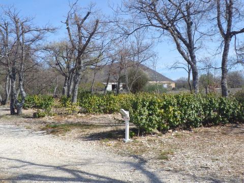 Flower Camping l'Epi Bleu - Camping Alpes-de-Haute-Provence - Image N°27