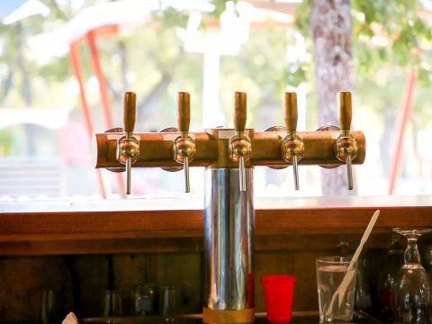 Flower Camping l'Epi Bleu - Camping Alpes-de-Haute-Provence - Image N°33