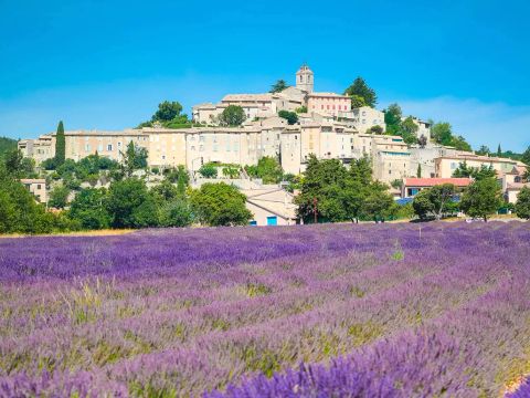 Flower Camping l'Epi Bleu - Camping Alpes-de-Haute-Provence - Image N°35