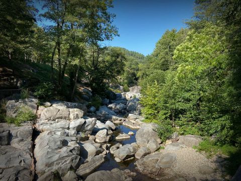 Camping la Salendrinque - Camping Gard - Image N°17