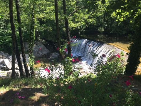 Camping la Salendrinque - Camping Gard - Image N°20