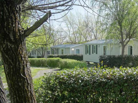 Centro Vacanze San Marino Centro Vacanze San Marino - Camping Pesaro-Urbino - Image N°45