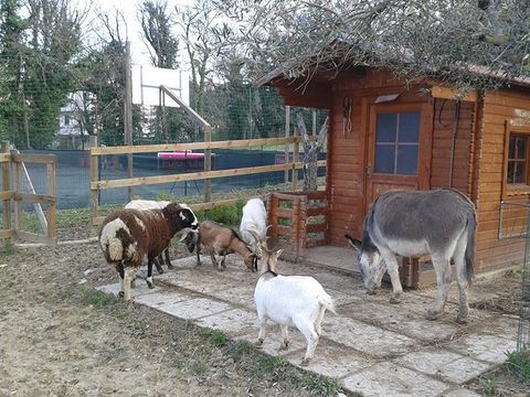 Centro Vacanze San Marino - Camping Pesaro-Urbino - Image N°15
