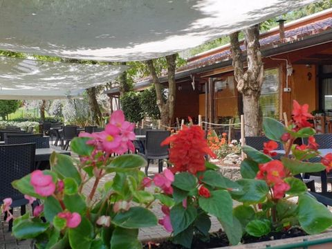 Centro Vacanze San Marino Centro Vacanze San Marino - Camping Pesaro-Urbino - Image N°32