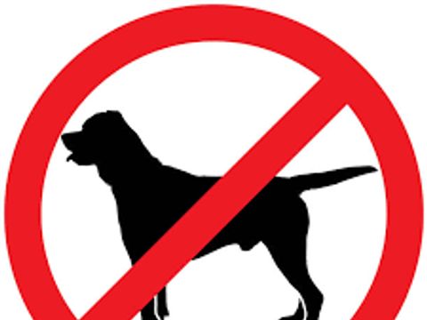 TENTE 6 personnes - Havana Lodge