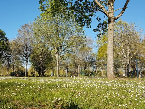 Emplacement - Emplacement camping