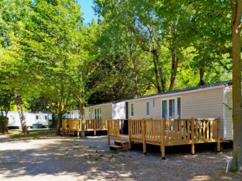 MOBILHOME 6 personnes - Super Titania 3 chambres 6 personnes