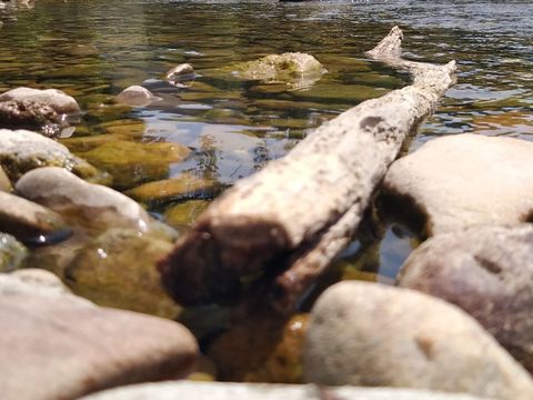 Camping Paradis du Viaduc - Camping Aveyron - Image N°33