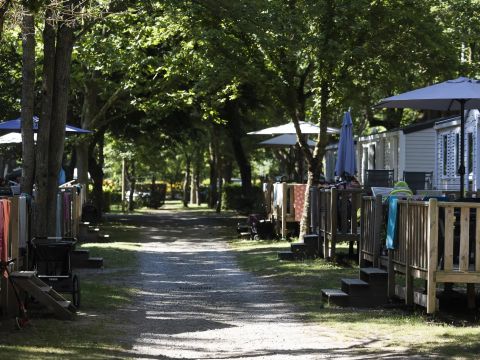 Camping Paradis du Viaduc - Camping Aveyron - Image N°37