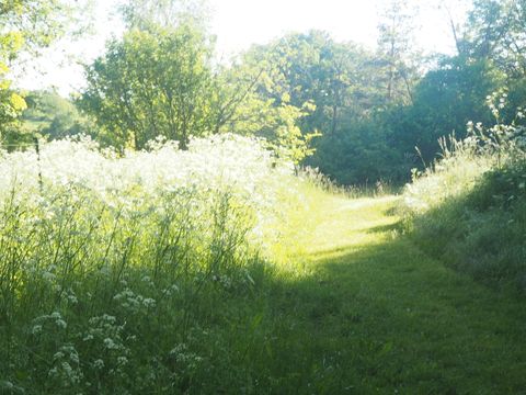 Camping Domaine de Pradines - Camping Gard - Image N°16