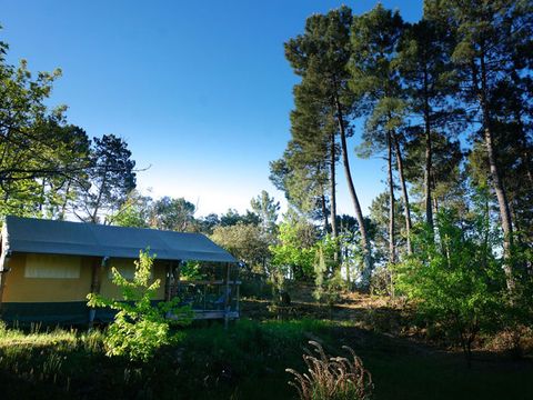 TENTE TOILE ET BOIS 5 personnes - Baroudeur (sans salle de bain privative)