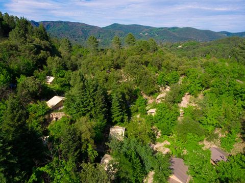 Bivouac nature - Camping Gard - Image N°7