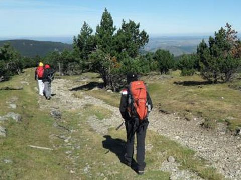 Bivouac nature - Camping Gard - Image N°37