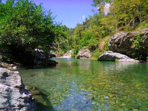 Bivouac nature - Camping Gard - Image N°17