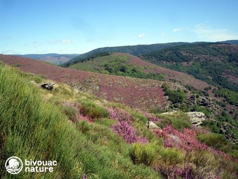 Bivouac nature - Camping Gard - Image N°34