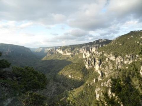 Bivouac nature - Camping Gard - Image N°29